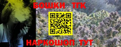 Альфа ПВП Кандалакша