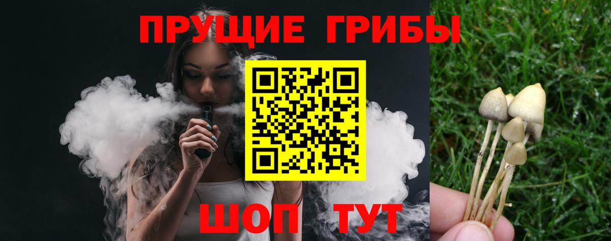 Псилоцибиновые грибы прущие грибы  Вход с VPN  Галлюциногенные грибы Magic Shrooms  Красный Сулин 